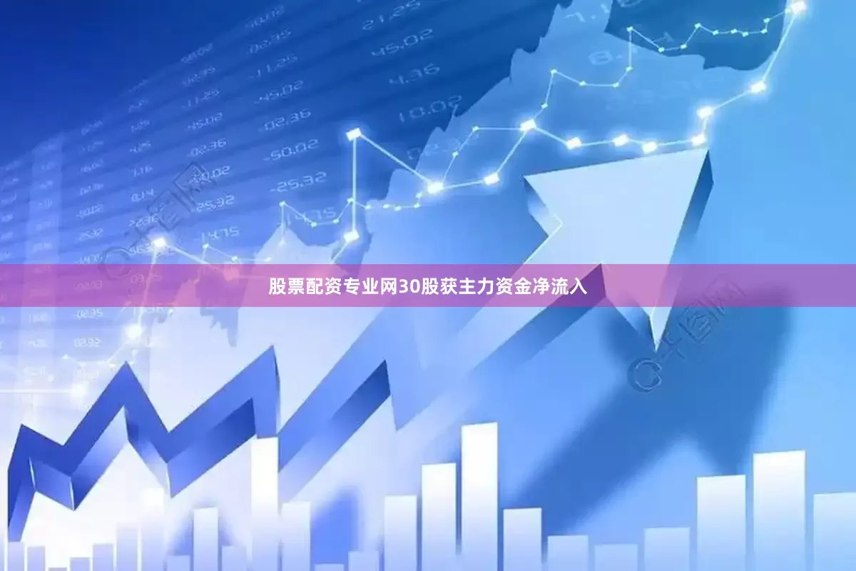 股票配资专业网30股获主力资金净流入