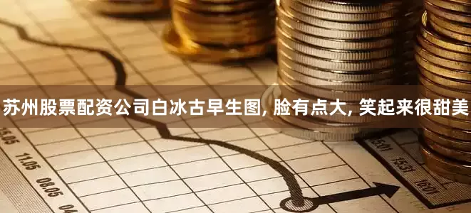 苏州股票配资公司白冰古早生图, 脸有点大, 笑起来很甜美