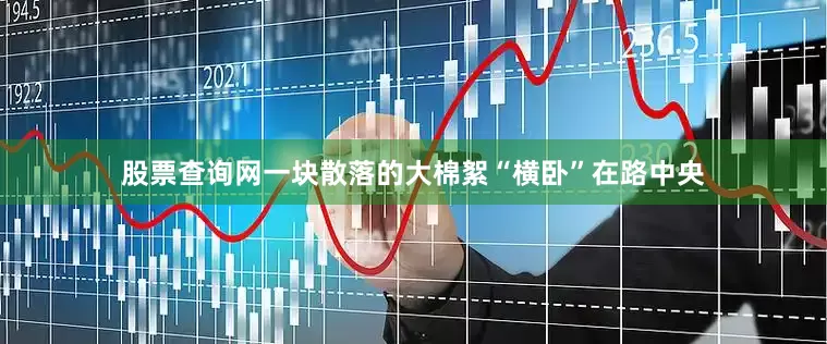 股票查询网一块散落的大棉絮“横卧”在路中央