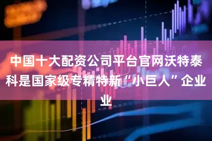 中国十大配资公司平台官网沃特泰科是国家级专精特新“小巨人”企业