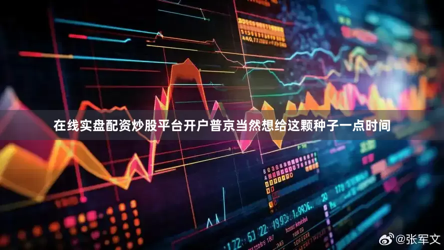 在线实盘配资炒股平台开户普京当然想给这颗种子一点时间