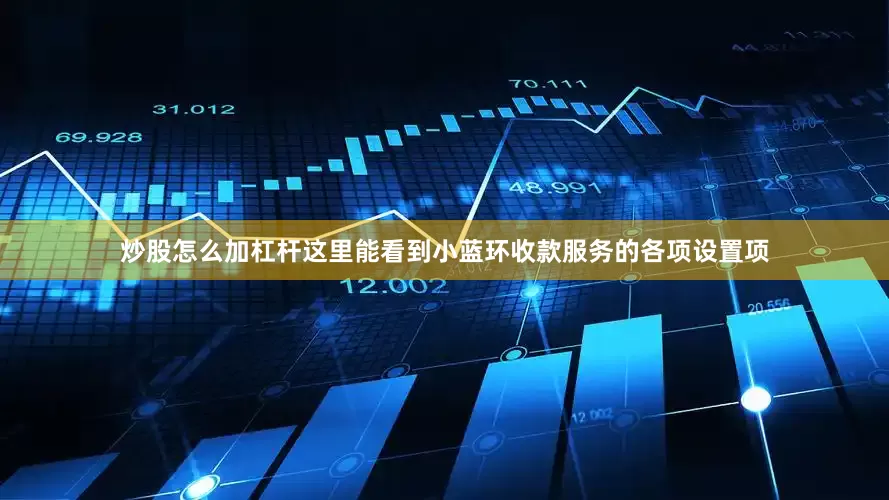 炒股怎么加杠杆这里能看到小蓝环收款服务的各项设置项
