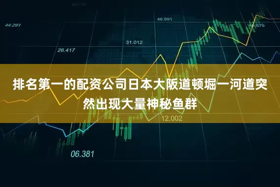 排名第一的配资公司日本大阪道顿堀一河道突然出现大量神秘鱼群
