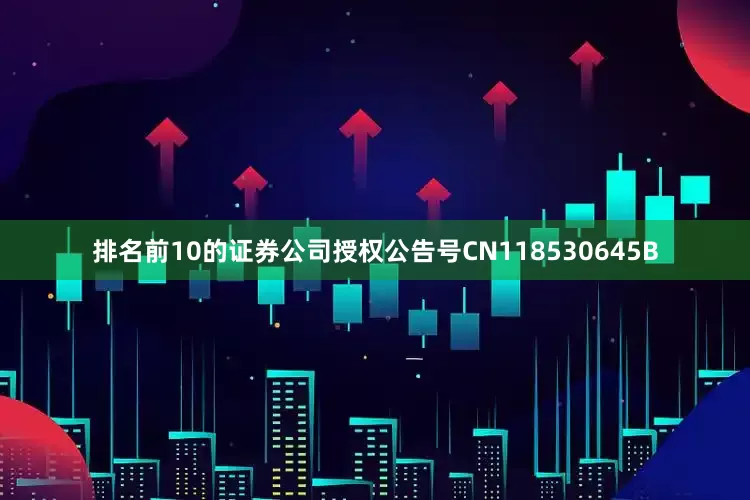 排名前10的证券公司授权公告号CN118530645B